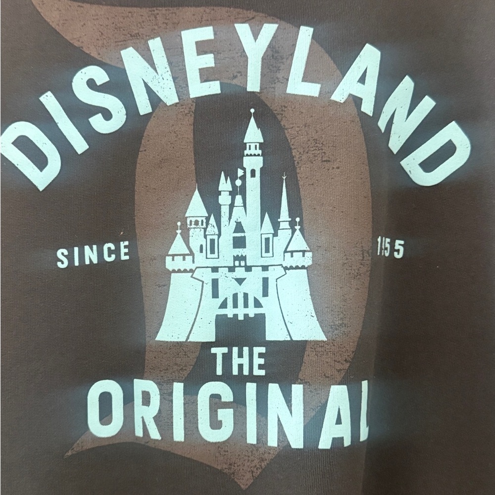 Disneyland crewneck from this season - Picture 2 of 3